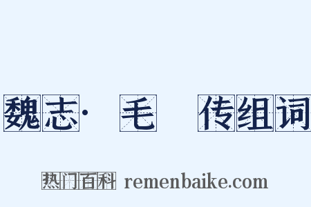 魏志·毛传组词是什么意思的图片